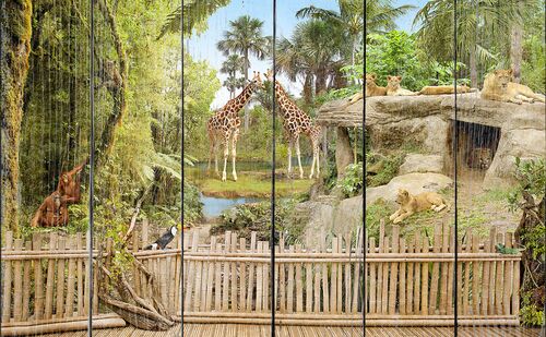 Зоопарк с дикими животными в джунглях