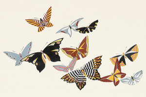 Иллюстрация XVII из книги Тысяча бабочек