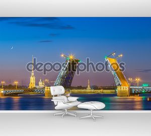 Развод Дворцового моста в Санкт-Петербурге во время белых ночей