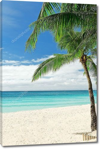 Белый песчаный пляж с пальмами