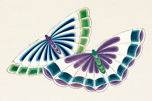 Иллюстрация XIX из книги Тысяча бабочек