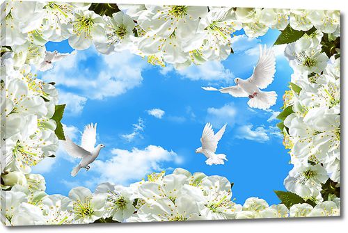 Небо и голуби в цветущей рамке