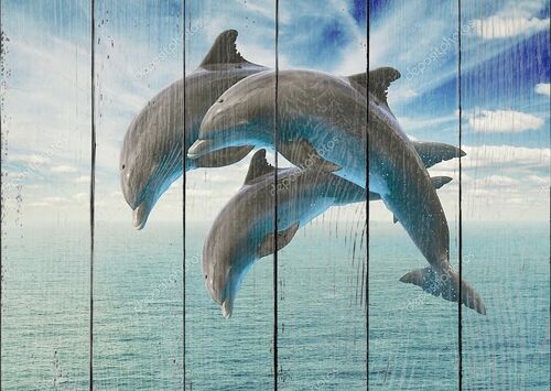 Три дельфина прыгают из воды