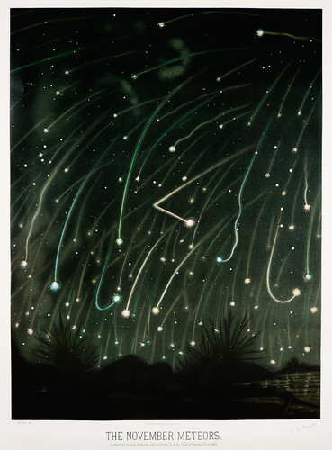 Ноябрьские метеоры с астрономических рисунков Трувело