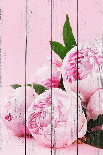 Розовые пионы на пастельном фоне