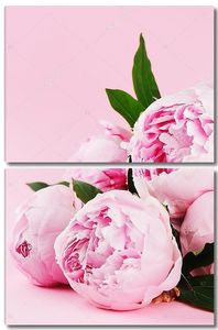 Розовые пионы на пастельном фоне
