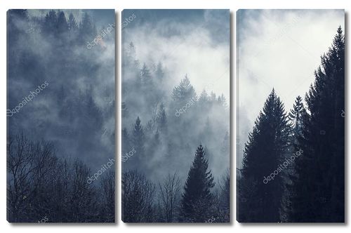 Туманный лес холодным утром
