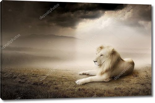 Белый Лев на закате