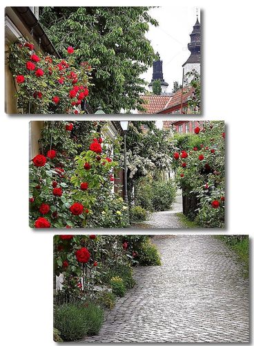 Аллея роз в средневековом городе