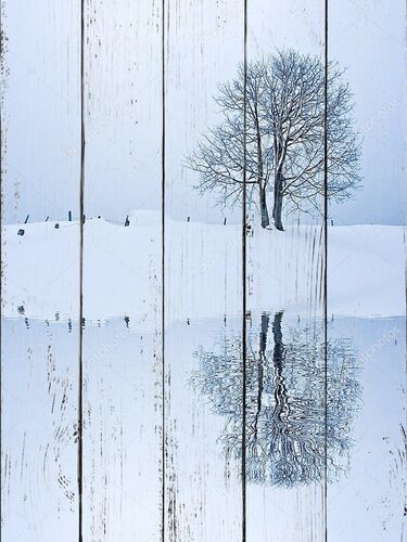 Одинокое дерево на снежном поле