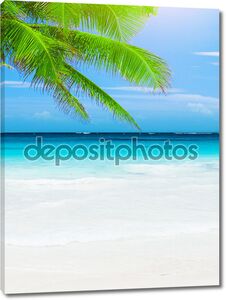Роскошный пляж курорта