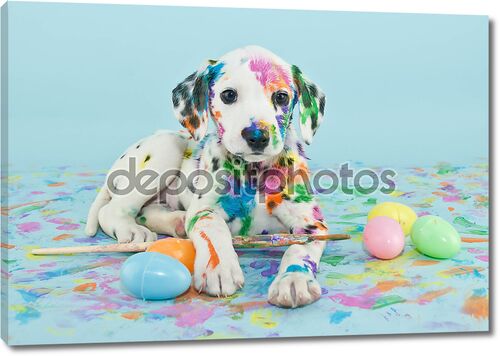 Easter Dalmatain Puppy