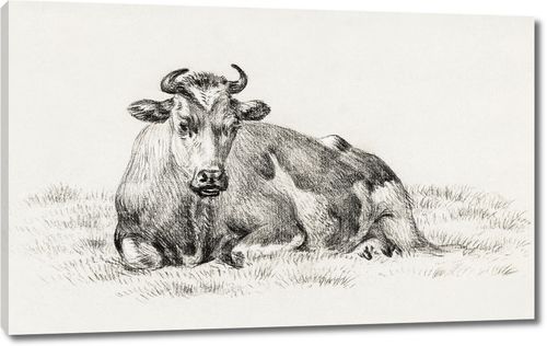 Лежащая корова