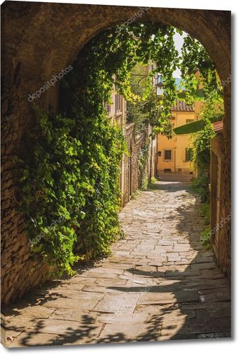Старые зеленые улочки в тосканском городе