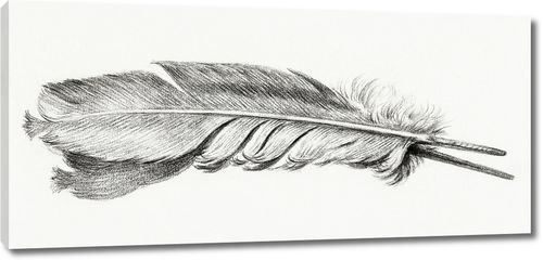 Перо Жана Бернара