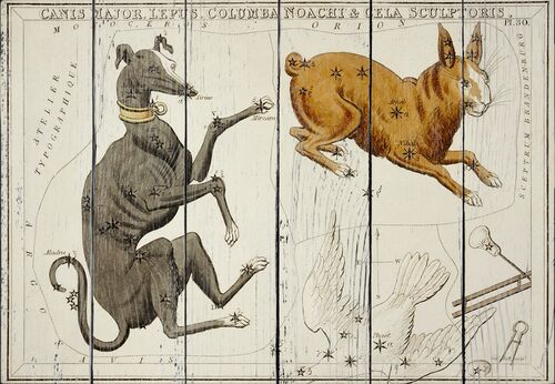 Астрономическая карта Большого Пса, сделанная Сидни Холлом