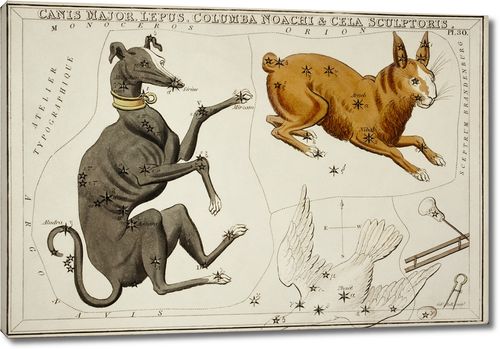 Астрономическая карта Большого Пса, сделанная Сидни Холлом