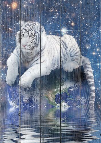 Белый тигр на Земле