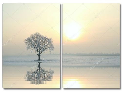Зимний пейзаж матового дерева на восходе солнца
