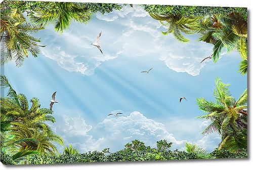 Небо с пальмами и птицами