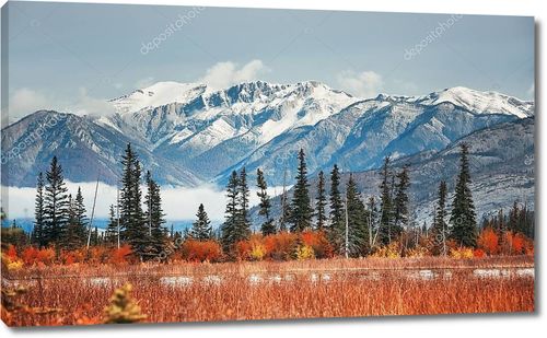 Осенний ковер в Национальном парке