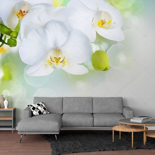 Белая орхидея в солнечных бликах