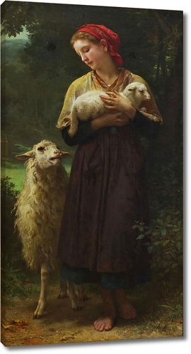 Пастушка