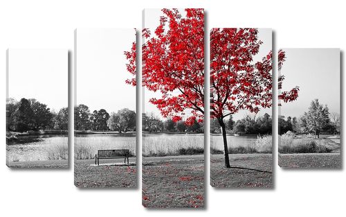 Красное дерево в осеннем парке