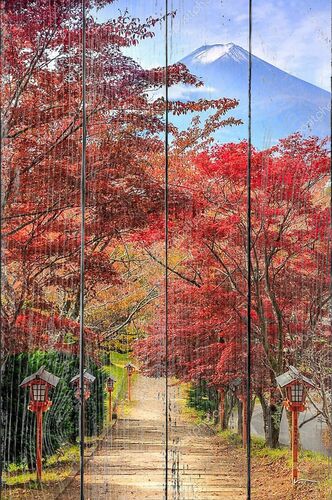 Путь к горе Фудзи осенью