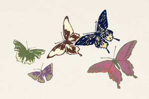 Иллюстрация V из книги Тысяча бабочек