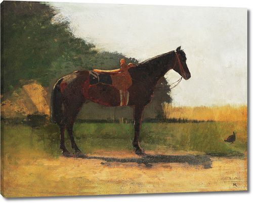 Оседланная лошадь во дворе фермы