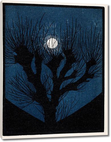 Лунный свет (1920)