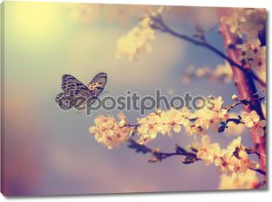 Vintage butterfly with flowers