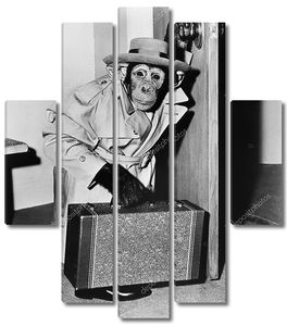 Шимпанзе в пальто и шляпе с чемоданом