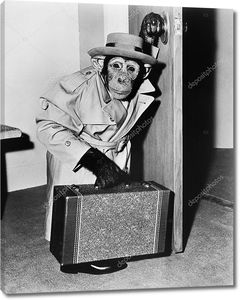Шимпанзе в пальто и шляпе с чемоданом