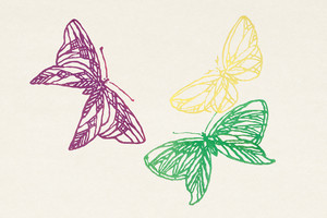Иллюстрация XXII из книги Тысяча бабочек