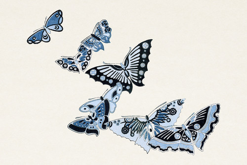 Иллюстрация XV из книги Тысяча бабочек