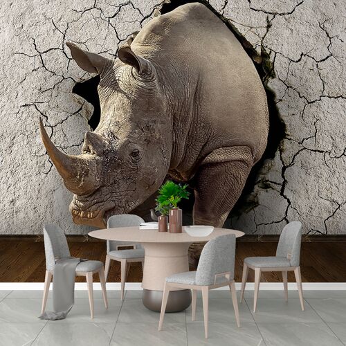 Носорог из треснувшей стены