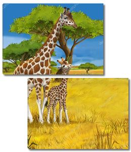 Сафари - жирафы