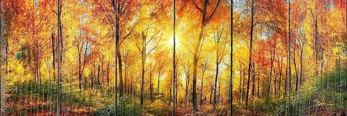 Панорама лес осенью