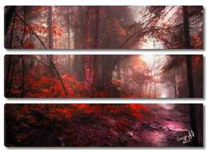 Красный осенний лес