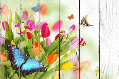 Букет цветных тюльпанов с бабочками