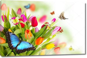 Букет цветных тюльпанов с бабочками