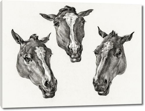 Три лошадиные головы