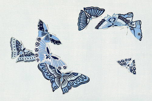 Иллюстрация VII из книги Тысяча бабочек