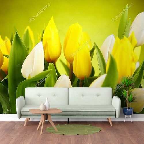 Желтые и белые тюльпаны