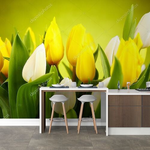 Желтые и белые тюльпаны