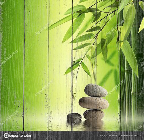 Листья бамбука и камни