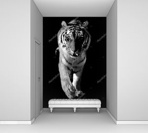 Дикий тигр фото в рост