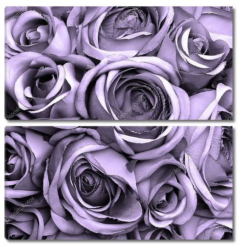 Винтажные розы фиолетовый узор
